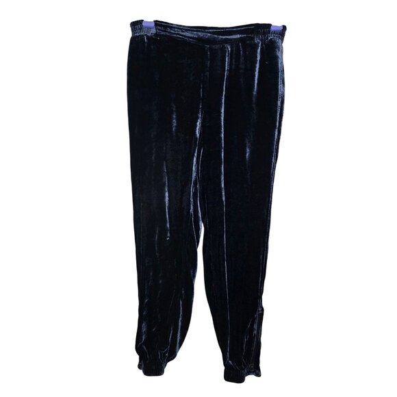 Go By Go Silk Navy Velvet Jogger Ankle Zip Pants XS Boho Whimsygoth - Picture 1 of 6